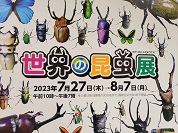 世界の昆虫展2023（あべのハルカス近鉄本店）