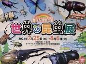 世界の昆虫展2024（あべのハルカス近鉄本店）