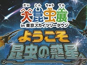 大昆虫展2024 in 東京スカイツリータウン
