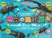 世界の昆虫展2025（あべのハルカス近鉄本店）