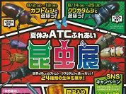 夏休みATCふれあい昆虫展（大阪南港ATC）