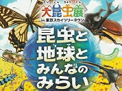 大昆虫展2025 in 東京スカイツリータウン