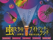 虫たちのナイトワンダーランド