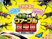 体感するファーブル昆虫展 in 横浜赤レンガ倉庫