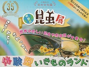世界の昆虫展（大阪府立花の文化園）