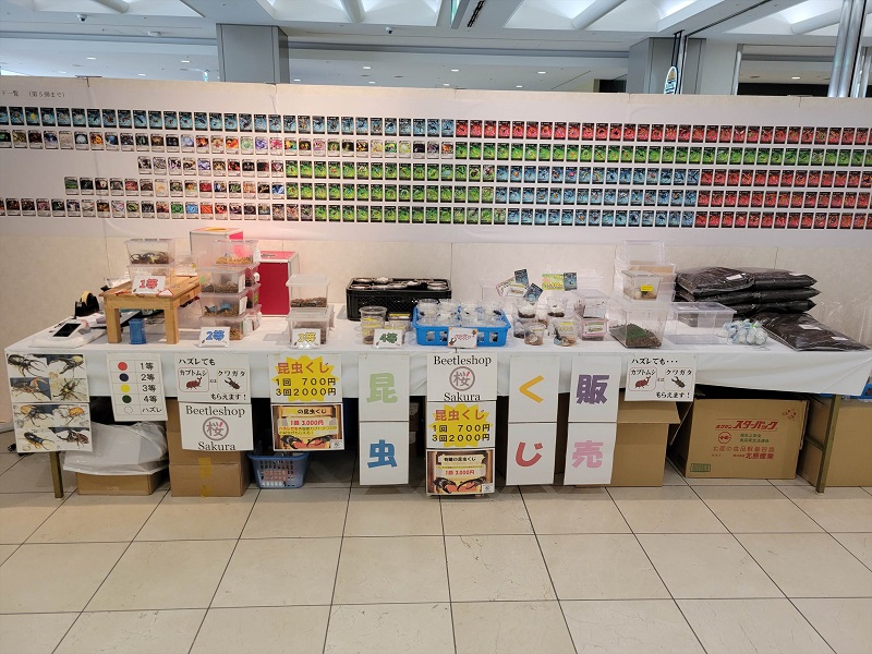 昆虫くじ販売｜ふくおか大昆虫展×蟲神器 inももち