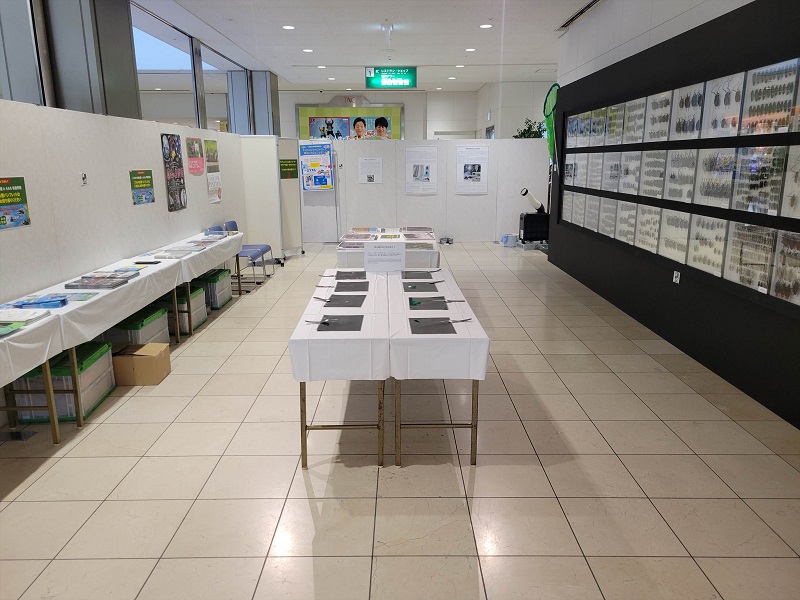 夜の雑木林で虫を探そう｜ふくおか大昆虫展×蟲神器 inももち