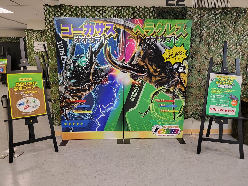 昆虫パネル写真コーナー｜世界の昆虫展2025年（あべのハルカス近鉄百貨店・大阪天王寺区