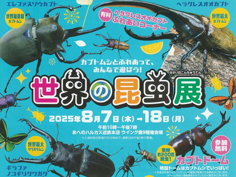 世界の昆虫展2025年｜あべのハルカス近鉄百貨店・大阪天王寺区