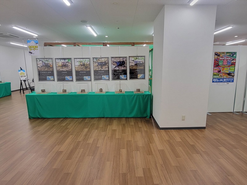 生体展示コーナー1｜南港ATCの夏休みATCふれあい昆虫展2025年
