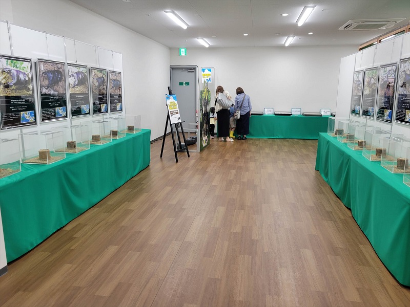 生体展示コーナー2｜南港ATCの夏休みATCふれあい昆虫展2025年