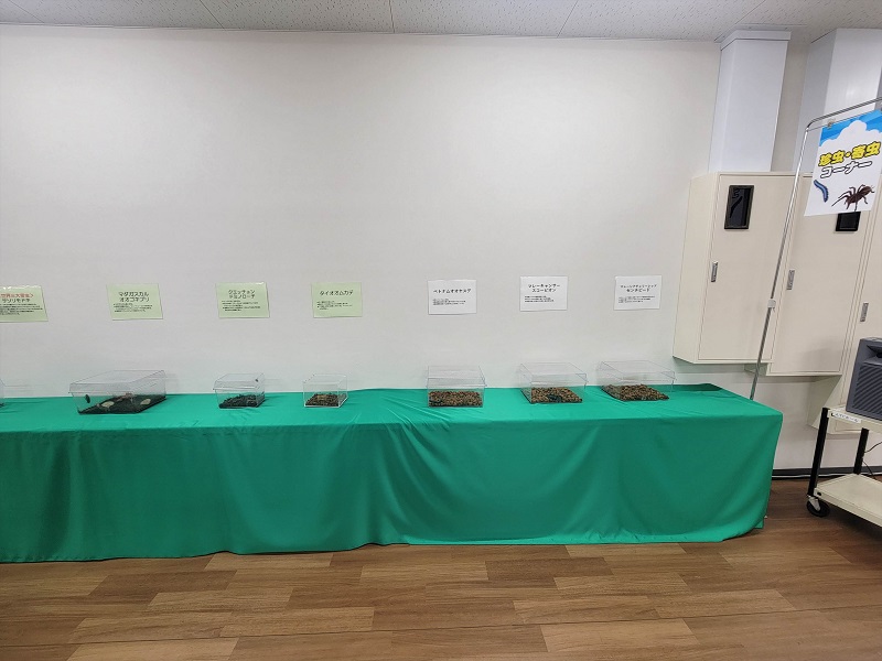 珍虫・寄虫コーナー｜南港ATCの夏休みATCふれあい昆虫展2025年