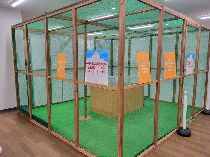 ヘラクレスオオカブトふれあいコーナー｜南港ATCの夏休みATCふれあい昆虫展2025年