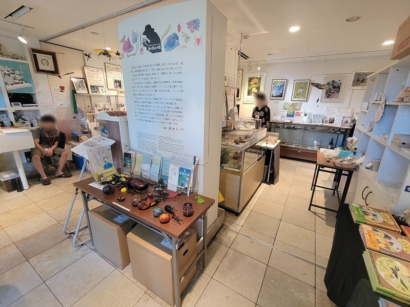 館内1｜ファーブル昆虫館 虫の詩人の館