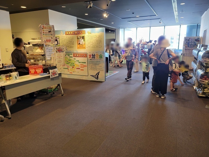会場内｜東京スカイツリータウンの大昆虫展