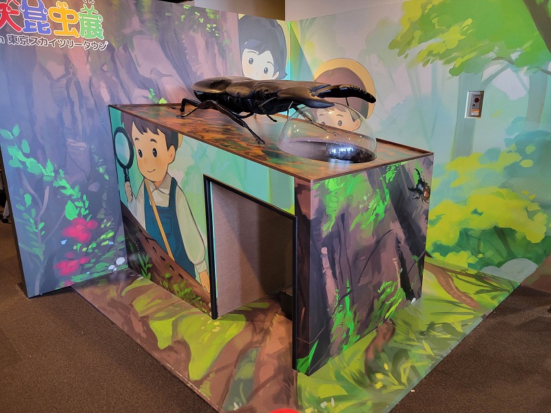 巨大ヒラタクワガタ｜東京スカイツリータウンの大昆虫展