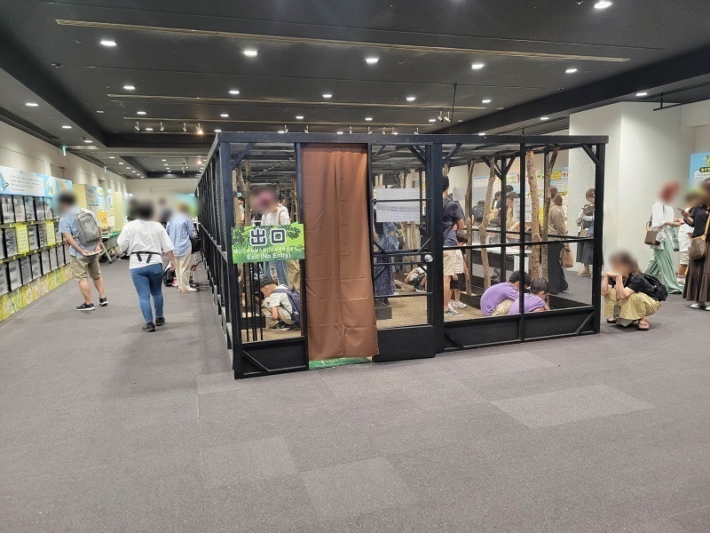 ふれあいの森1｜東京スカイツリータウンの大昆虫展