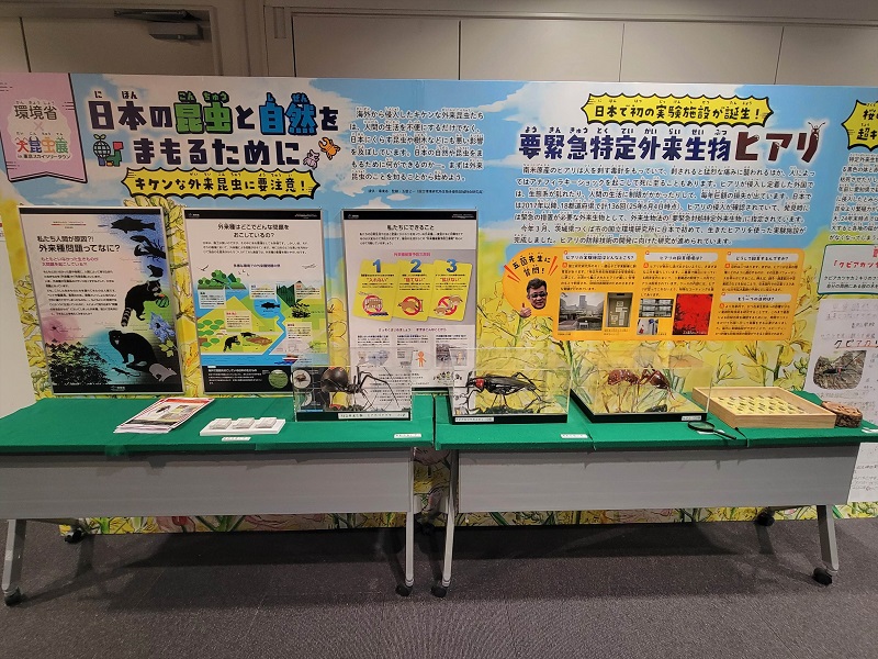 キケンな外来昆虫｜東京スカイツリータウンの大昆虫展