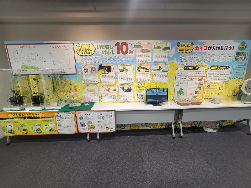 いもむし・けむしのふしぎ｜東京スカイツリータウンの大昆虫展