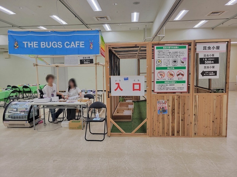 どきどき！昆虫タッチコーナー ～昆虫たちと仲良くなろう～｜虫たちのナイトワンダーランド 体験型！暗闇の昆虫展