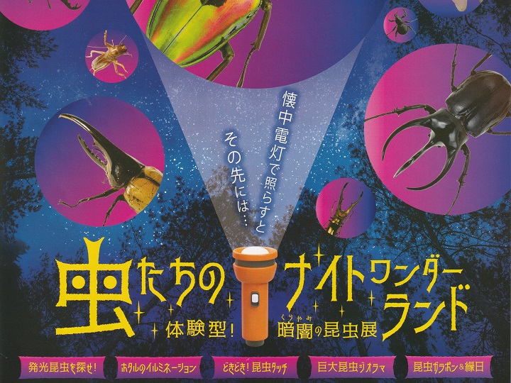 虫たちのナイトワンダーランド 体験型！暗闇の昆虫展