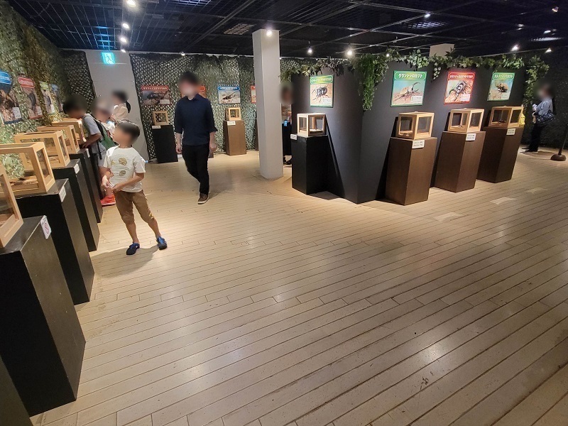 昆虫の生体展示エリア｜体感するファーブル昆虫展 in 横浜赤レンガ倉庫