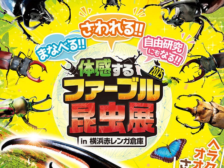 体感するファーブル昆虫展 in 横浜赤レンガ倉庫