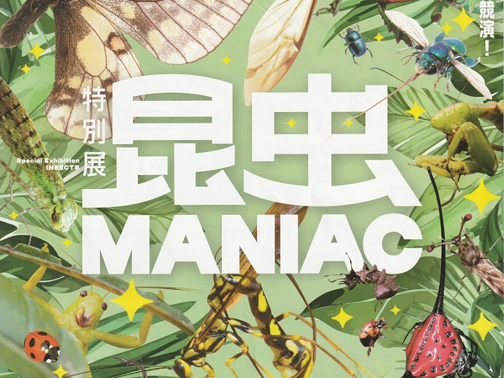 昆虫MANIAC大阪市立自然史博物館｜東住吉区長居公園の昆虫展