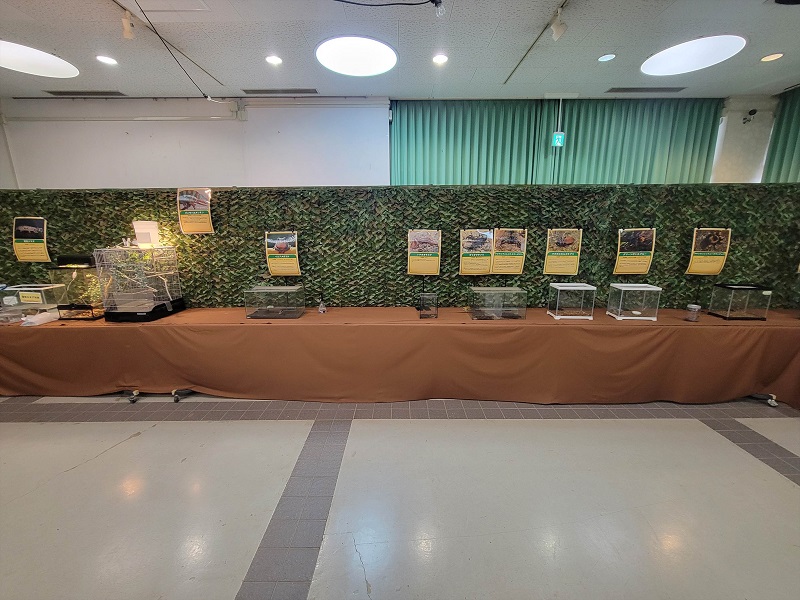 生体展示コーナー2｜世界の昆虫展・大阪府立花の文化園