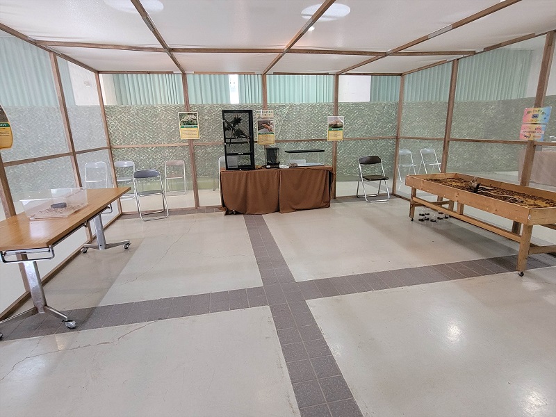 ふれあいブース｜世界の昆虫展・大阪府立花の文化園