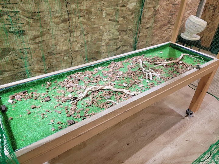 ニジイロクワガタのもり|ハーベストの丘(世界の昆虫爬虫類館)