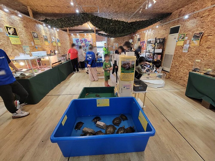 館内2|ハーベストの丘(世界の昆虫爬虫類館)