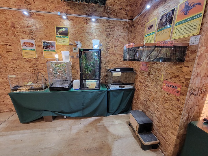 入るな危険コーナー|ハーベストの丘(世界の昆虫爬虫類館)