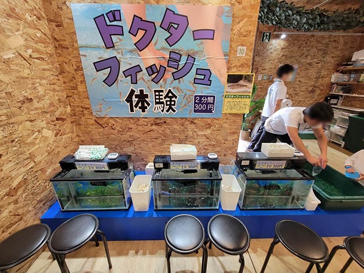 ドクターフィッシュ体験|ハーベストの丘(世界の昆虫爬虫類館)