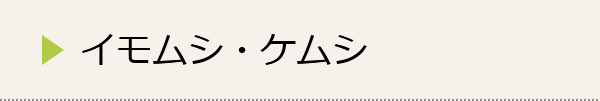 イモムシ・ケムシの種類
